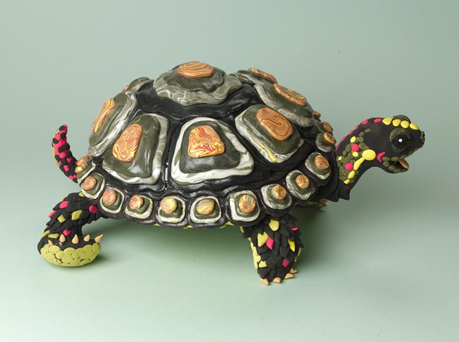 Tortoises--Bones on their Backs | crayola.com